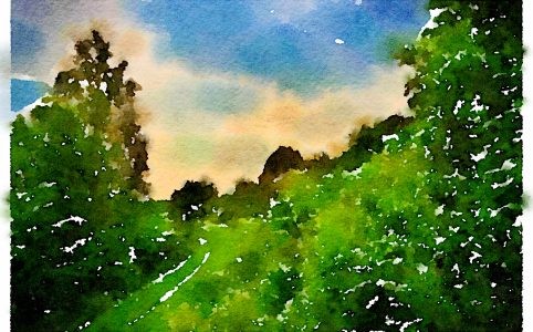 Past the Stile of Stars (Elegy for Mary Oliver)