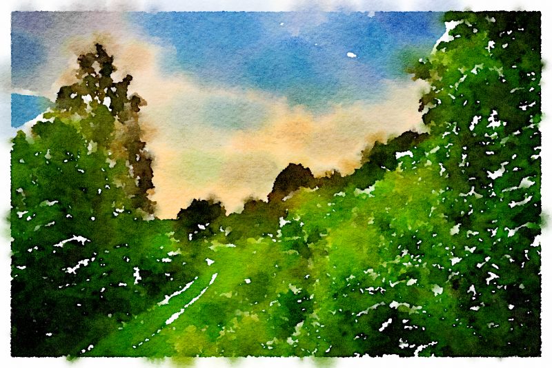 Past the Stile of Stars (Elegy for Mary Oliver)